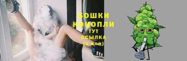 PSILOCYBIN Лихославль