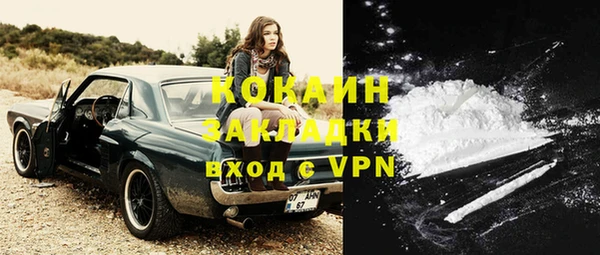 PSILOCYBIN Лихославль