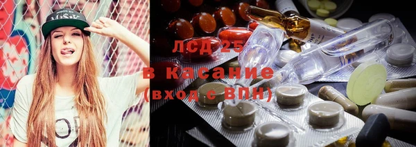 PSILOCYBIN Лихославль